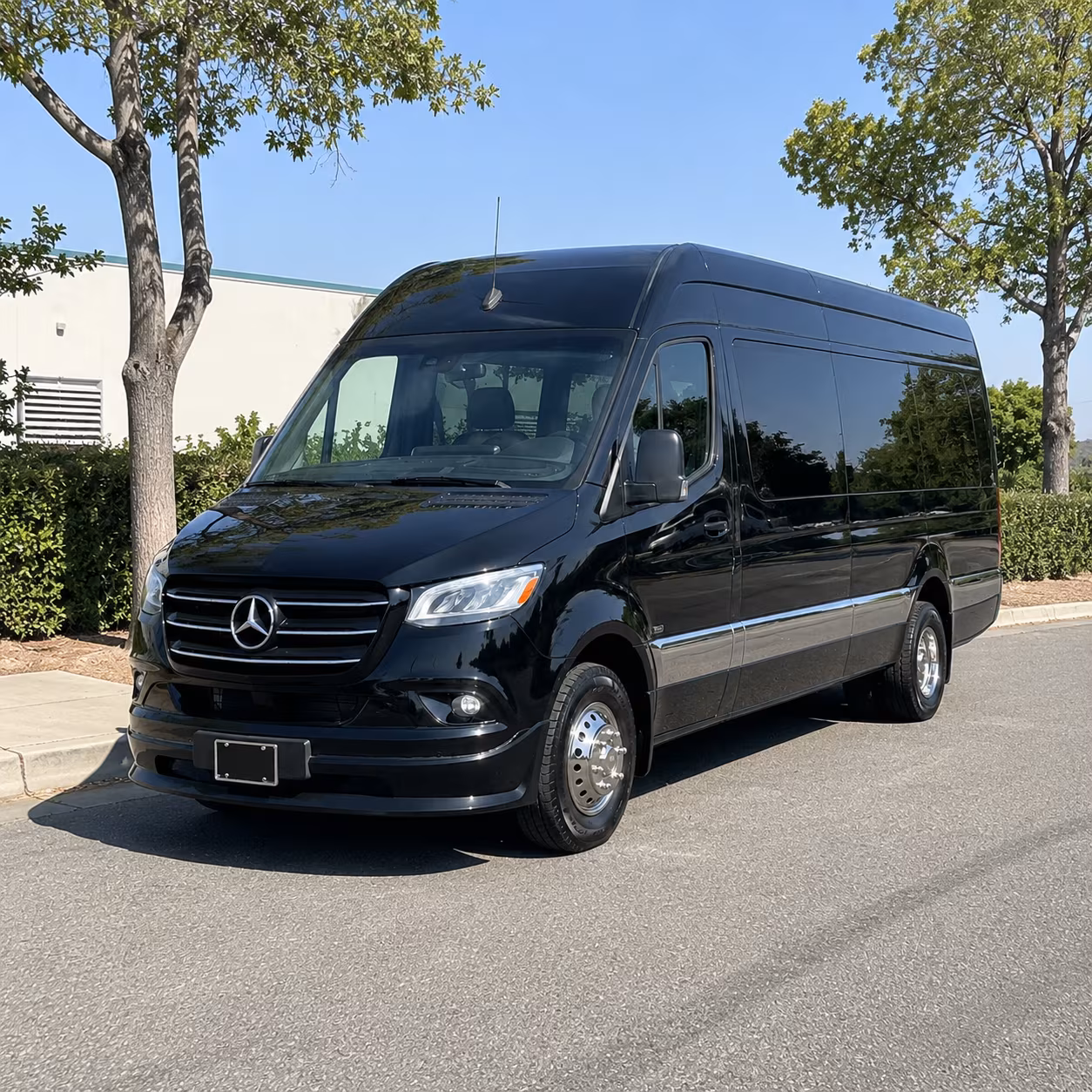 Sparks Wedding Transportation & Shuttle Service
